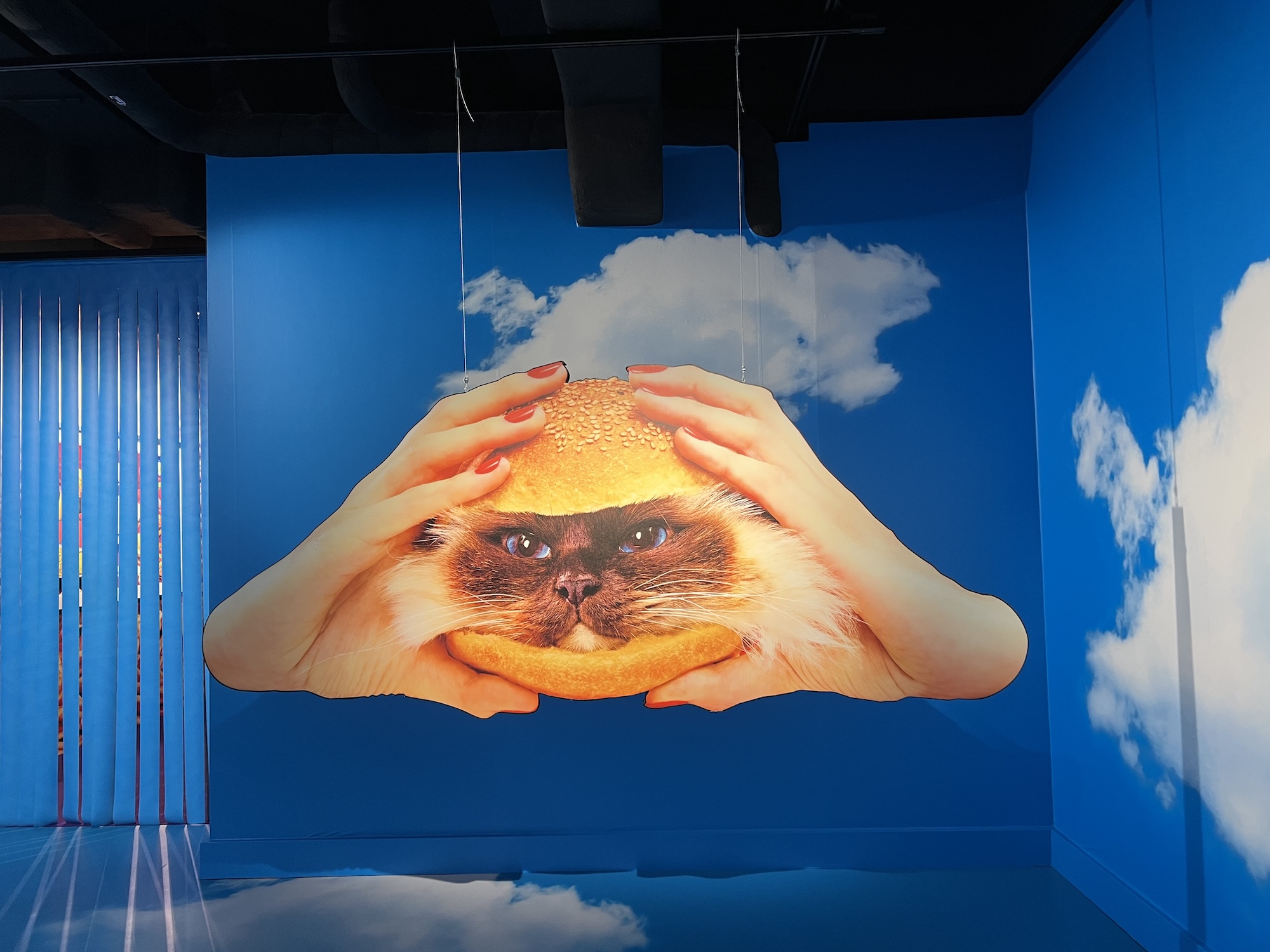 Visit Fotografiska Museum 2