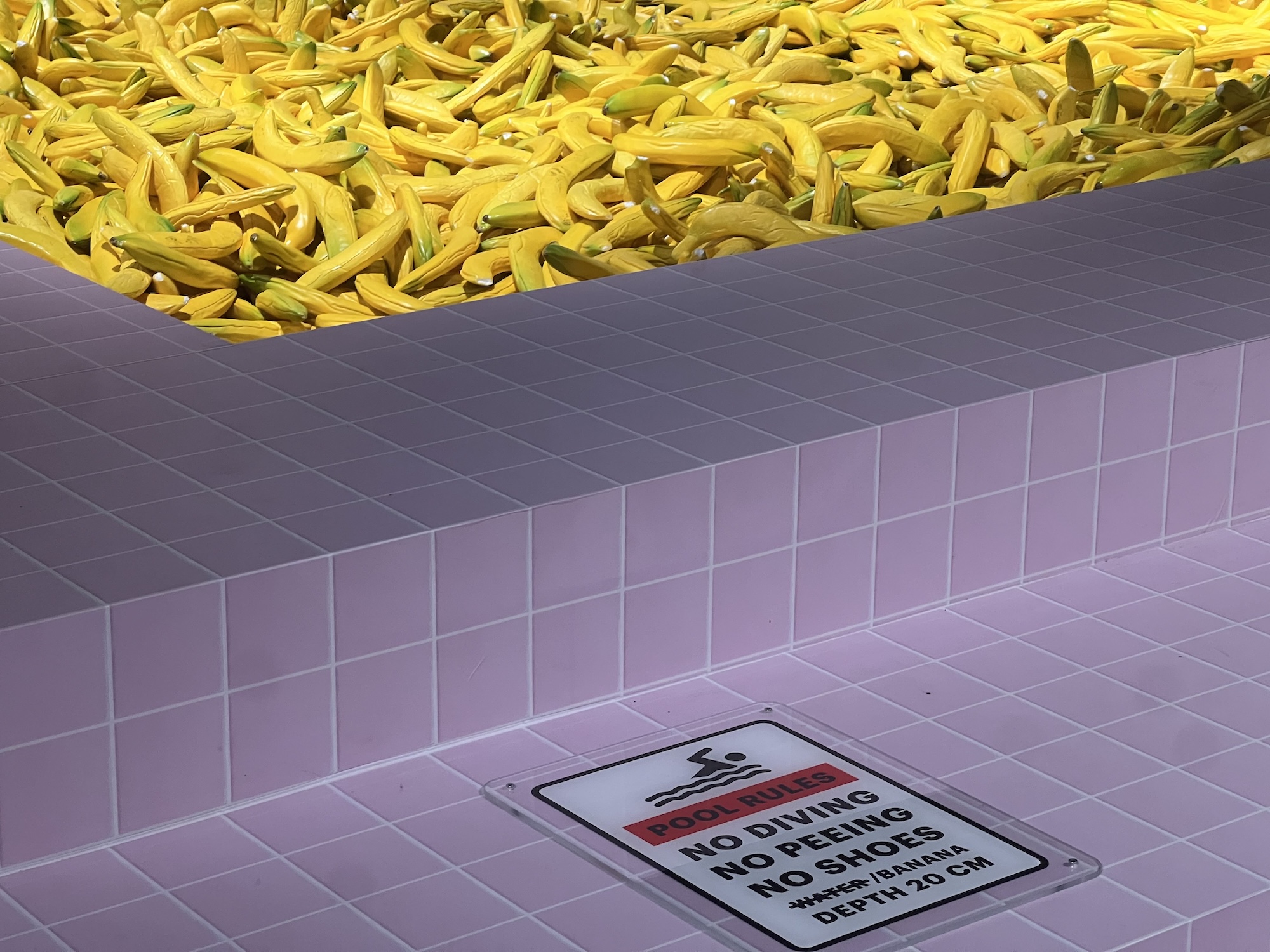 Visit Fotografiska Museum 4