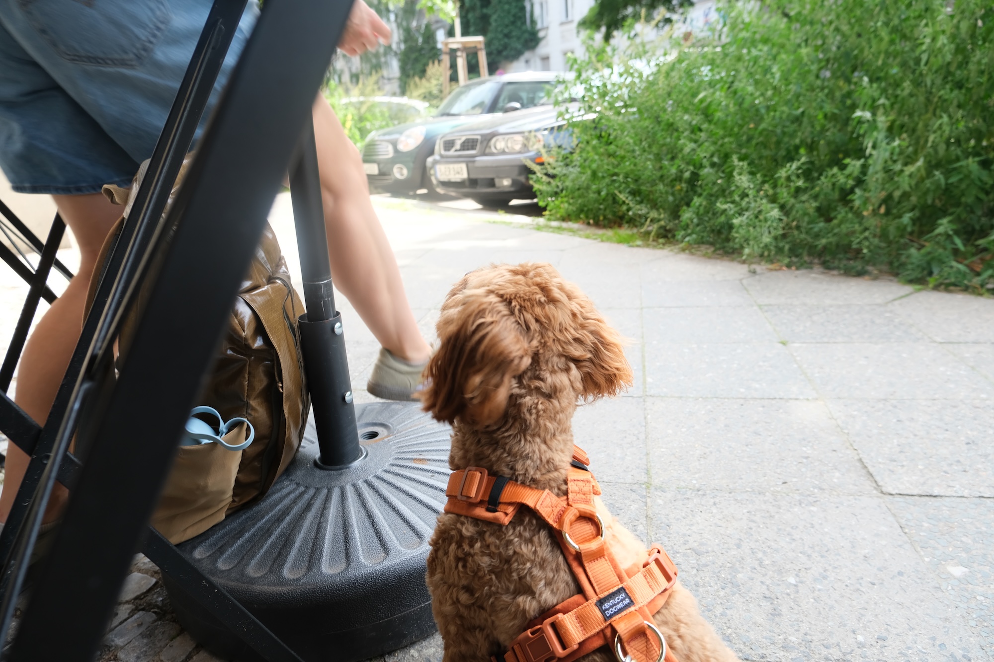 Grab Coffee and Cake at Jules 3